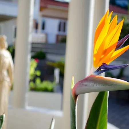 Aparthotel Estia